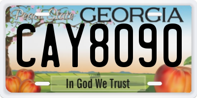 GA license plate CAY8090
