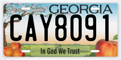 GA license plate CAY8091