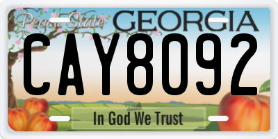 GA license plate CAY8092