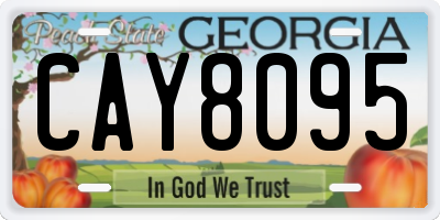 GA license plate CAY8095