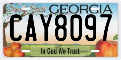 GA license plate CAY8097