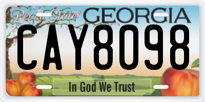 GA license plate CAY8098