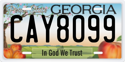 GA license plate CAY8099