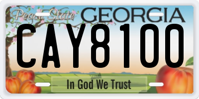 GA license plate CAY8100