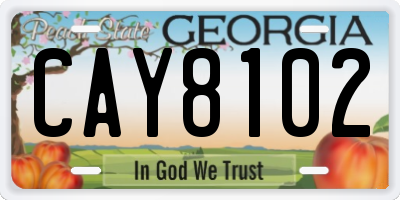 GA license plate CAY8102