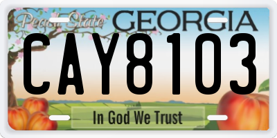 GA license plate CAY8103