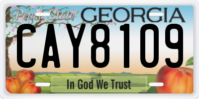 GA license plate CAY8109