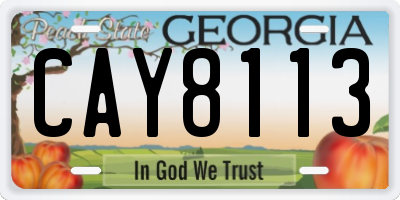 GA license plate CAY8113