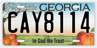 GA license plate CAY8114