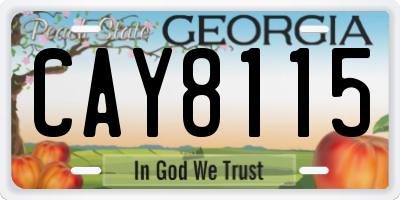 GA license plate CAY8115