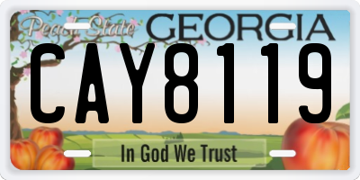 GA license plate CAY8119