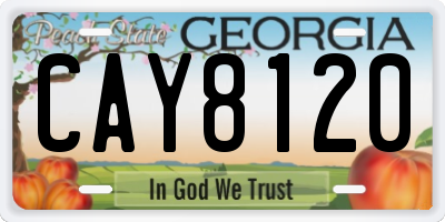 GA license plate CAY8120