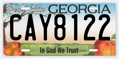GA license plate CAY8122