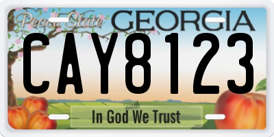 GA license plate CAY8123