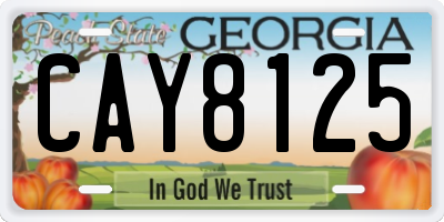 GA license plate CAY8125
