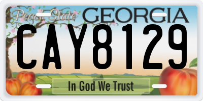 GA license plate CAY8129