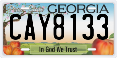 GA license plate CAY8133
