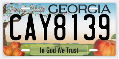 GA license plate CAY8139
