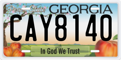GA license plate CAY8140