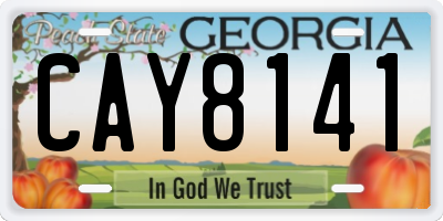 GA license plate CAY8141