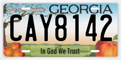 GA license plate CAY8142