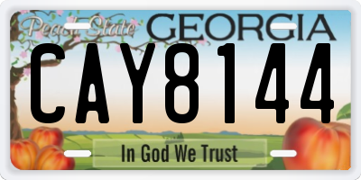 GA license plate CAY8144