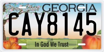 GA license plate CAY8145