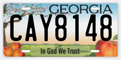 GA license plate CAY8148