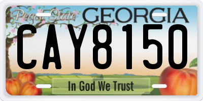 GA license plate CAY8150