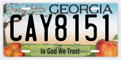 GA license plate CAY8151