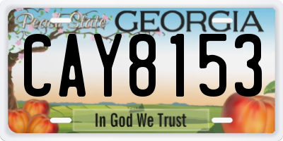 GA license plate CAY8153