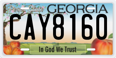 GA license plate CAY8160