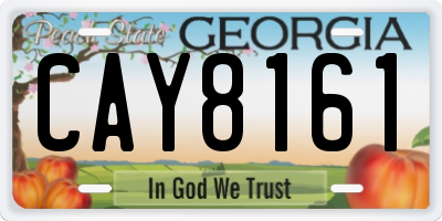 GA license plate CAY8161