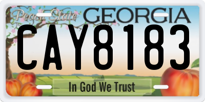 GA license plate CAY8183