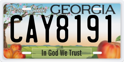 GA license plate CAY8191