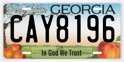 GA license plate CAY8196
