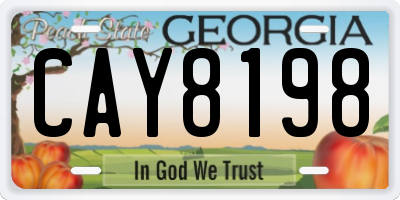 GA license plate CAY8198