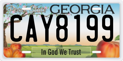 GA license plate CAY8199