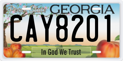 GA license plate CAY8201