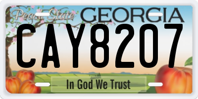 GA license plate CAY8207