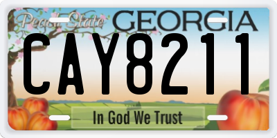 GA license plate CAY8211