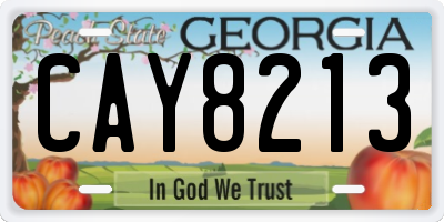 GA license plate CAY8213