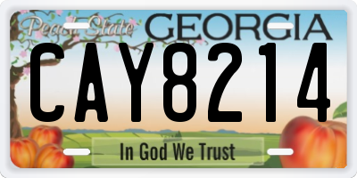 GA license plate CAY8214