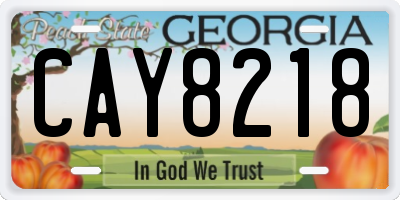 GA license plate CAY8218
