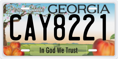 GA license plate CAY8221