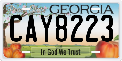 GA license plate CAY8223