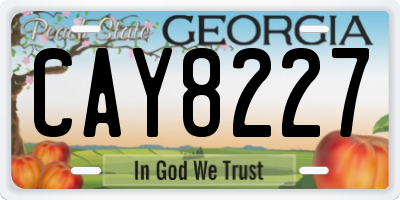 GA license plate CAY8227