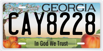 GA license plate CAY8228