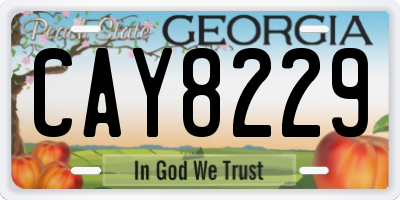 GA license plate CAY8229