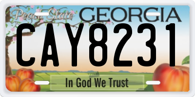 GA license plate CAY8231
